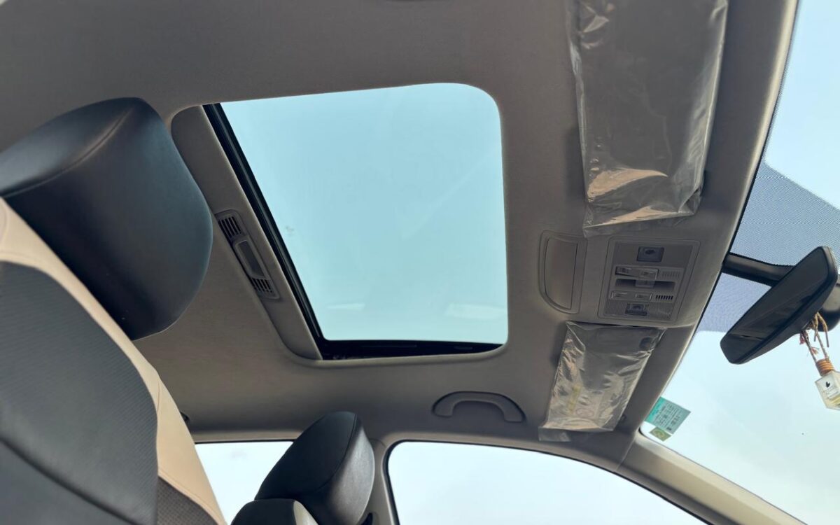 9db82b61-9fbe-4884-8535-2826f34cd415 style='width:100%'