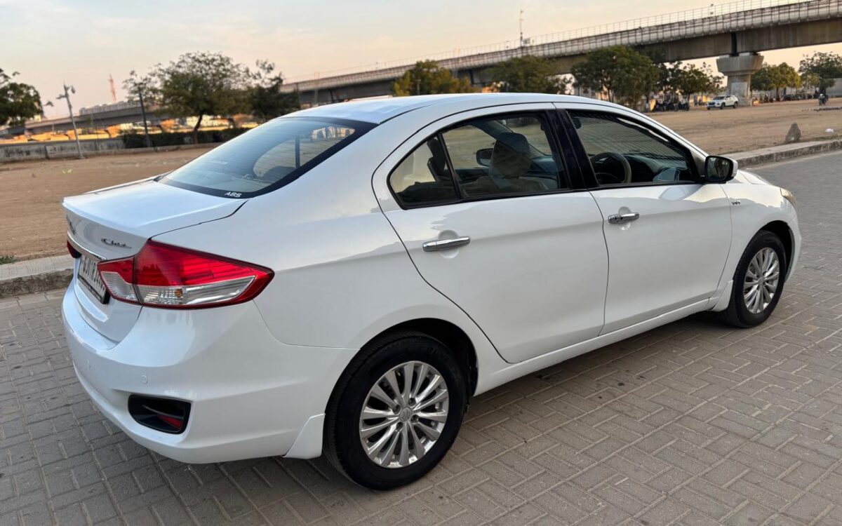 e13066b2-be75-4cc8-9b40-32ccfc17d89c style='width:100%'