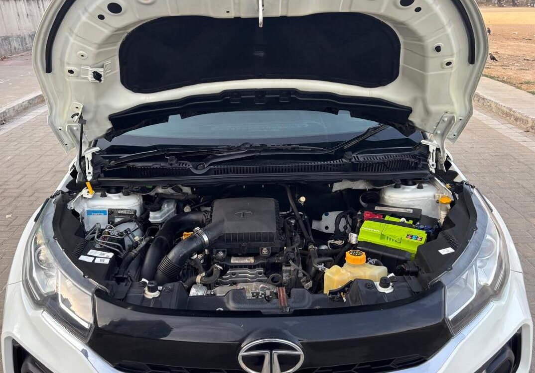 626708ed-7984-43cf-a061-528e45ffe068 style='width:100%'